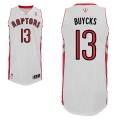 buycks_2013-14_raptors.jpg