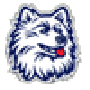 teams_uconn.gif