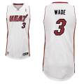 wade_2013-14_heat.jpg